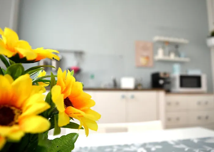 G-home And 3* Gallipolli